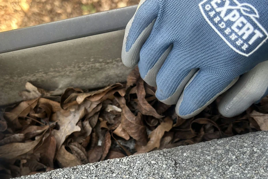 Gutter Cleaning Fairburn GA